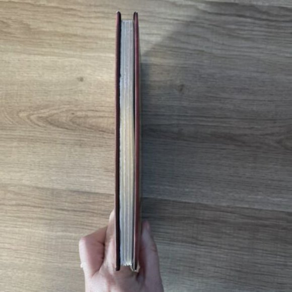 The Spiderwick Chronicles: The Seeing Stone by Tony DiTerlizzi. Book #2 - Picture 4 of 5